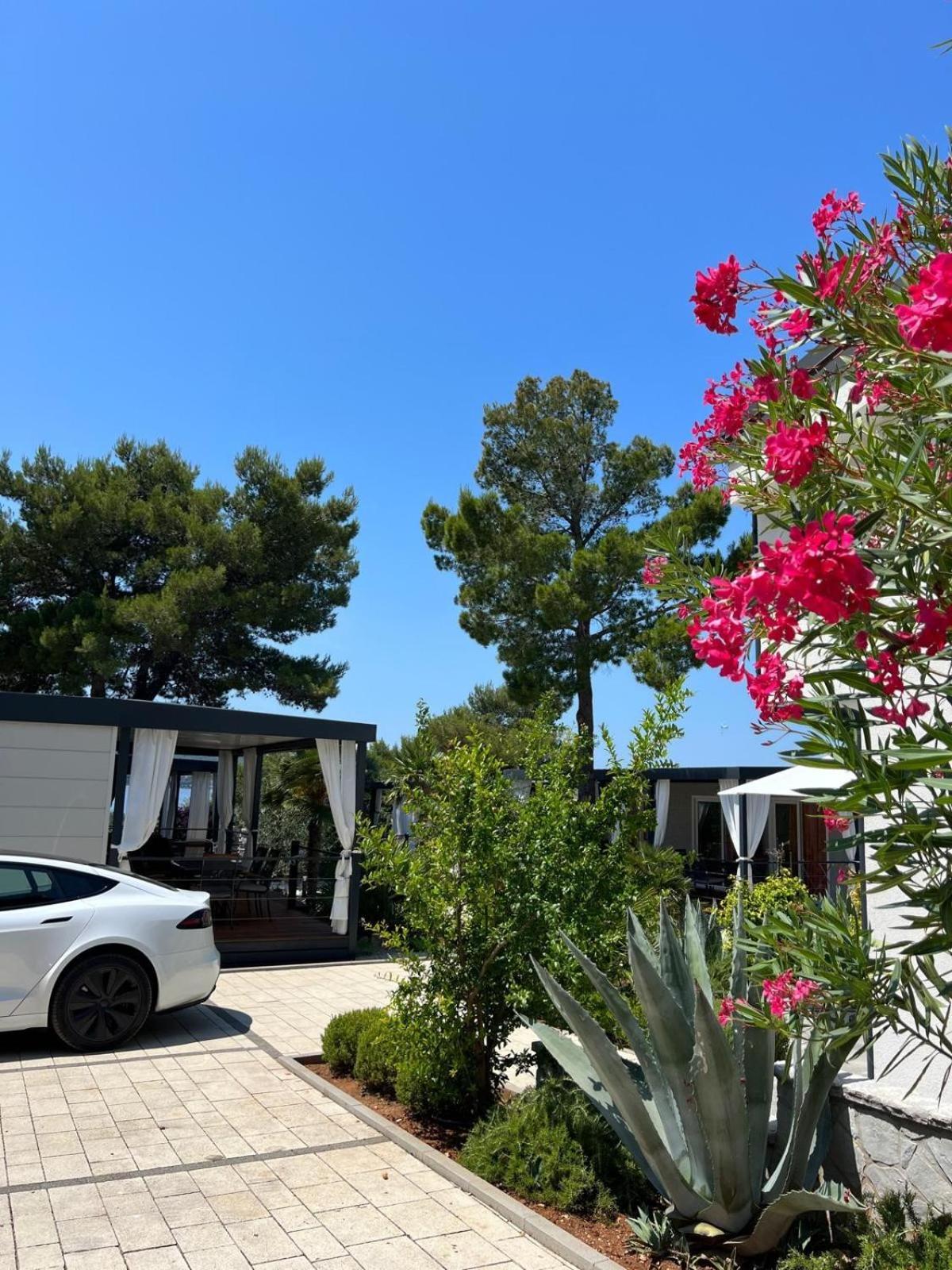 Dalmaris Camp - Prestige Mobile Homes Biograd Na Moru Zewnętrze zdjęcie